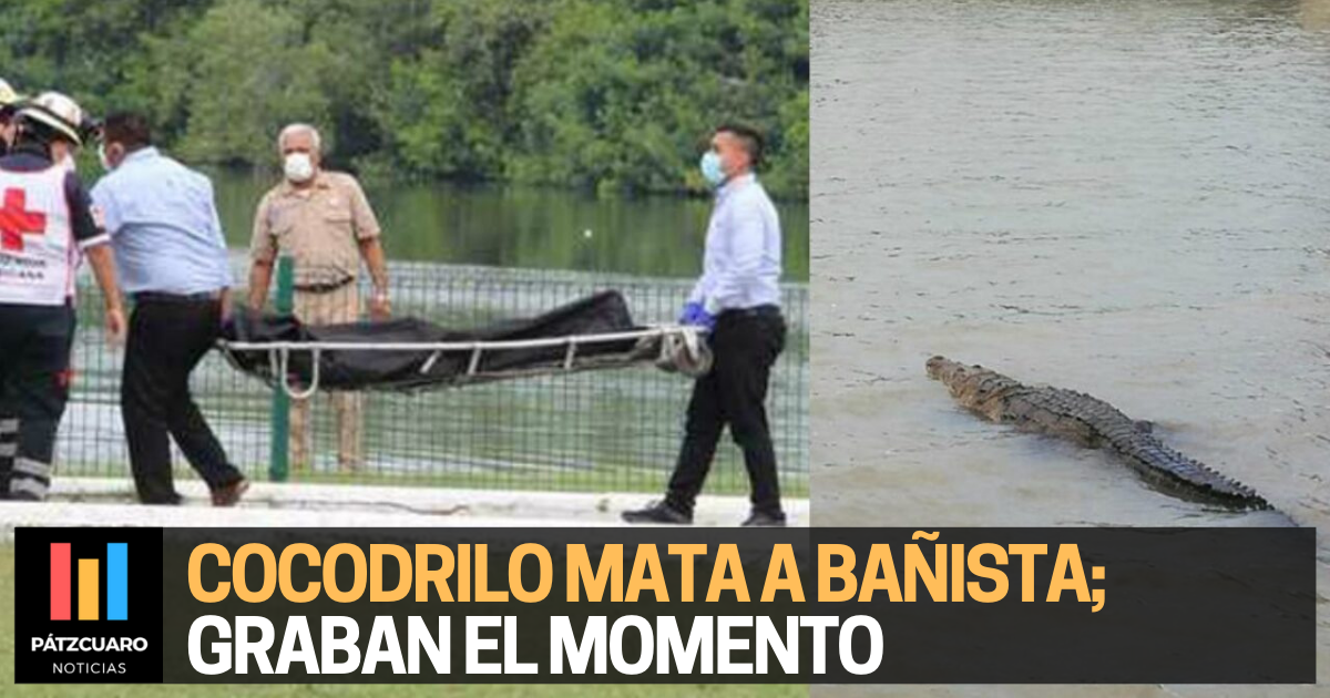 Video Cocodrilo Mata A Ba Ista En La Laguna Del Carpintero De Tampico