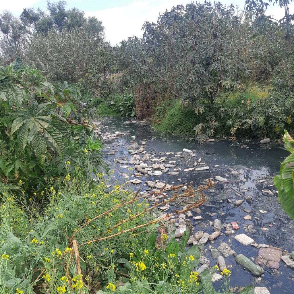 El R O Guani De R O Limpio A Basurero De P Tzcuaro