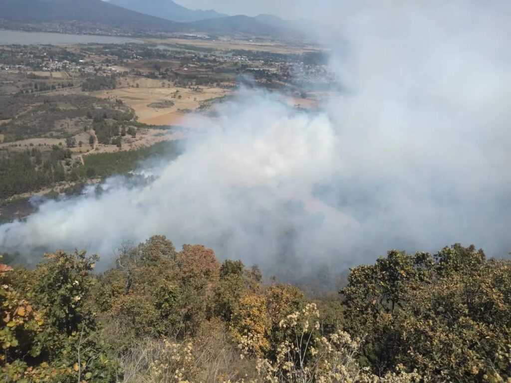 Incendio consume 3 hectáreas del Estribo Grande de Pátzcuaro