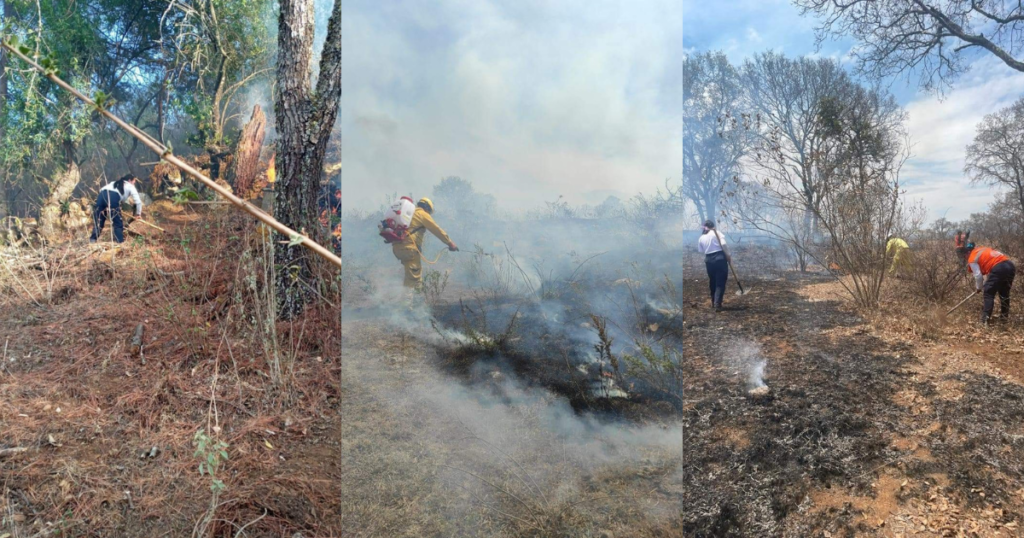 Incendio Forestal En Tzintzuntzan Autoridades Luchan Por Contener El Fuego