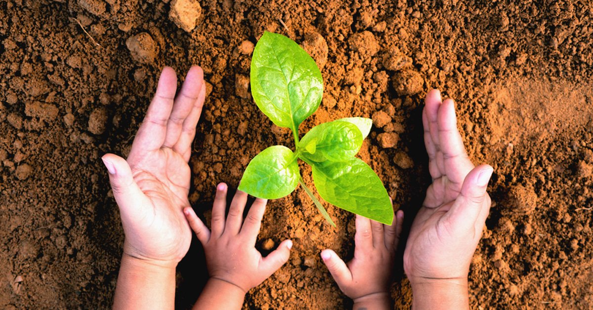 Beneficios De La Educación Ambiental En Los Niños