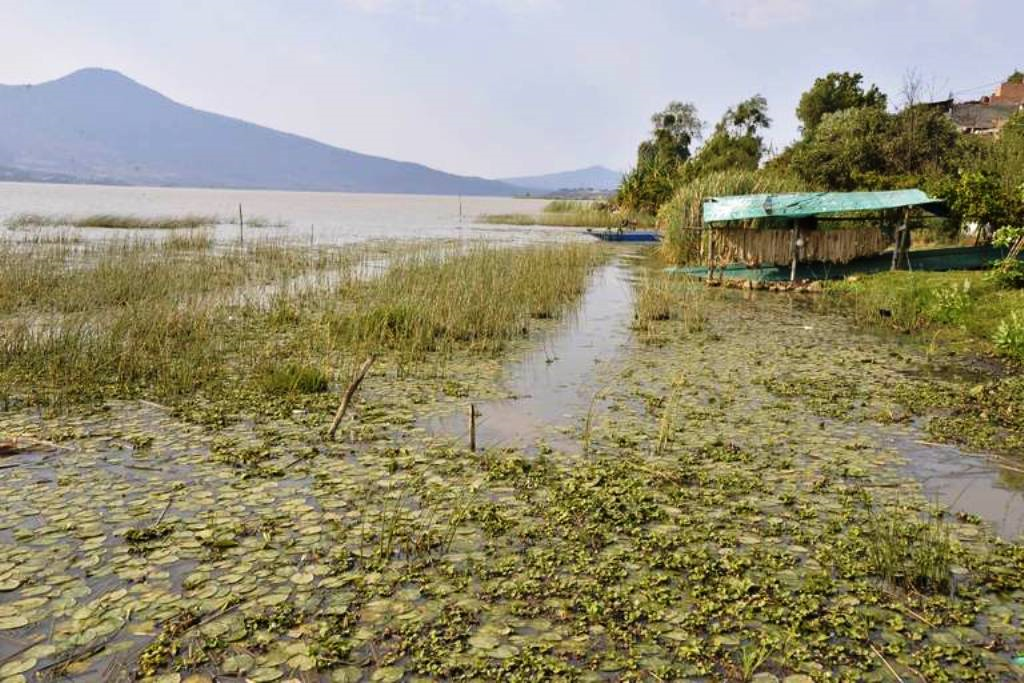 Se aprueba fideicomiso del rescate del lago de Pátzcuaro, propuesto por el diputado Omar Carreón