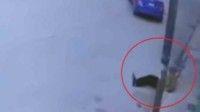 Abandonan a abuelito en plena calle; llevaba bolsa con sus cosas