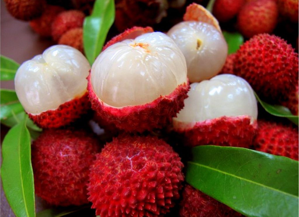 Casi cien niños muertos por encefalitis ligada a fruta de lichis