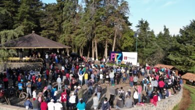 El reto "salvemos nuestro lago" se cumplió, se plantaron 12 mil árboles: Víctor Báez