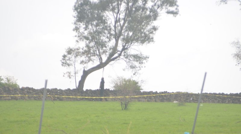 Hallan cadáver de un hombre colgado en un árbol en Morelia
