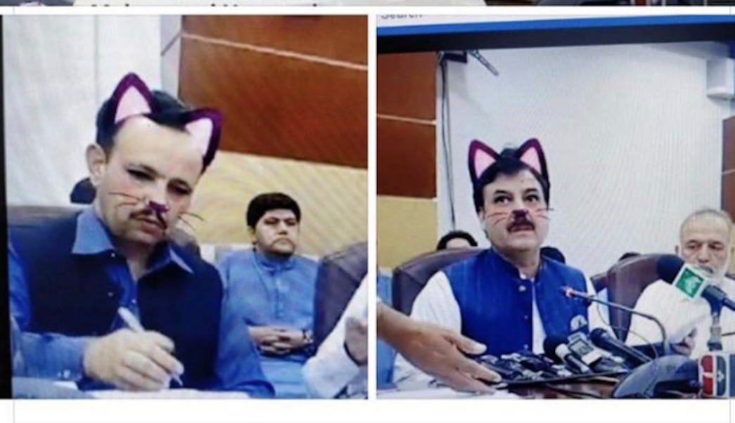 Funcionarios olvidan quitar filtro de gato durante conferencia de ministro