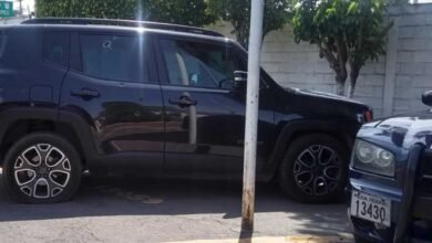 Intentan asesinar a diputada del PT en Morelos