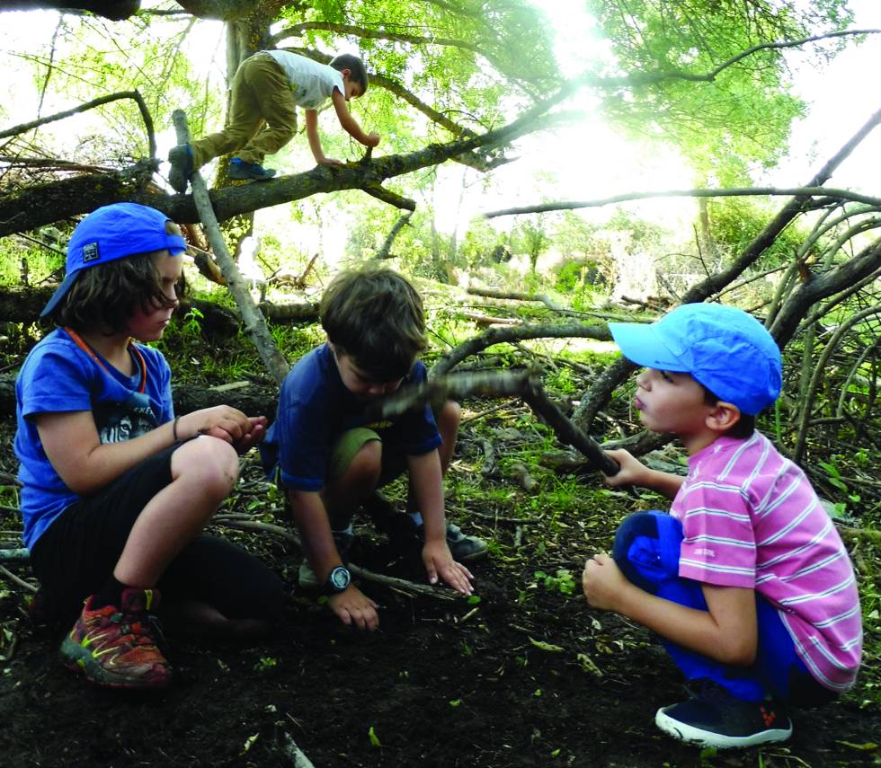 Jugar en la naturaleza- la clave del desarrollo cognitivo en la infancia