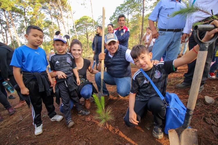 Plantan 5 mil pinos en el Cerro de la Cruz de Uruapan