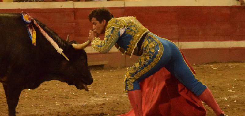 Preparan iniciativa para prohibir las corridas de toros en todo México