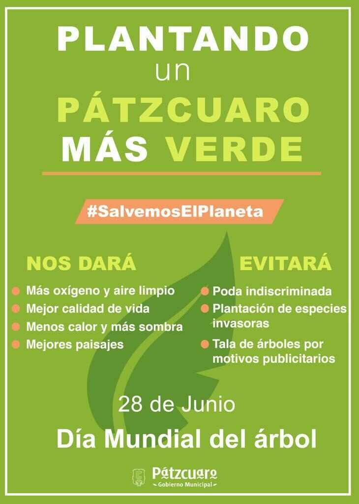Reforestación en Pátzcuaro iniciará con 10 mil árboles
