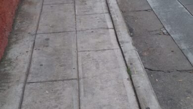 "No entiende el marrano", denuncia ciudadana en Pátzcuaro