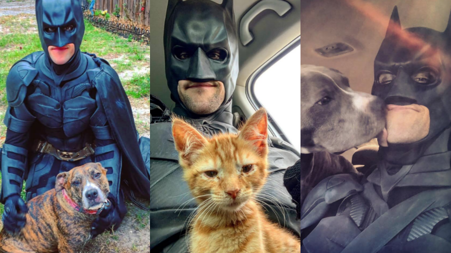 Batman rescata animales y les da un nuevo hogar