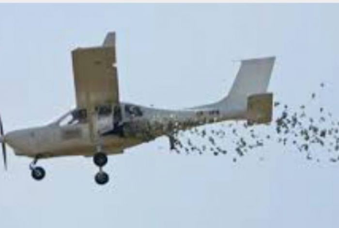 Desde avioneta, arrojan volantes con amenazas entre grupos criminales en Tepalcatepec, Michoacán