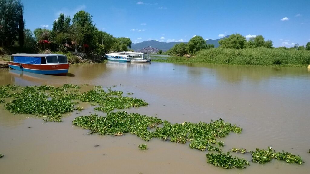 Al 49 % plantas tratadoras de la cuenca del Lago de Pátzcuaro