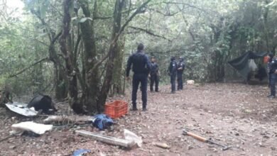 Descubren campamento de crimen organizado
