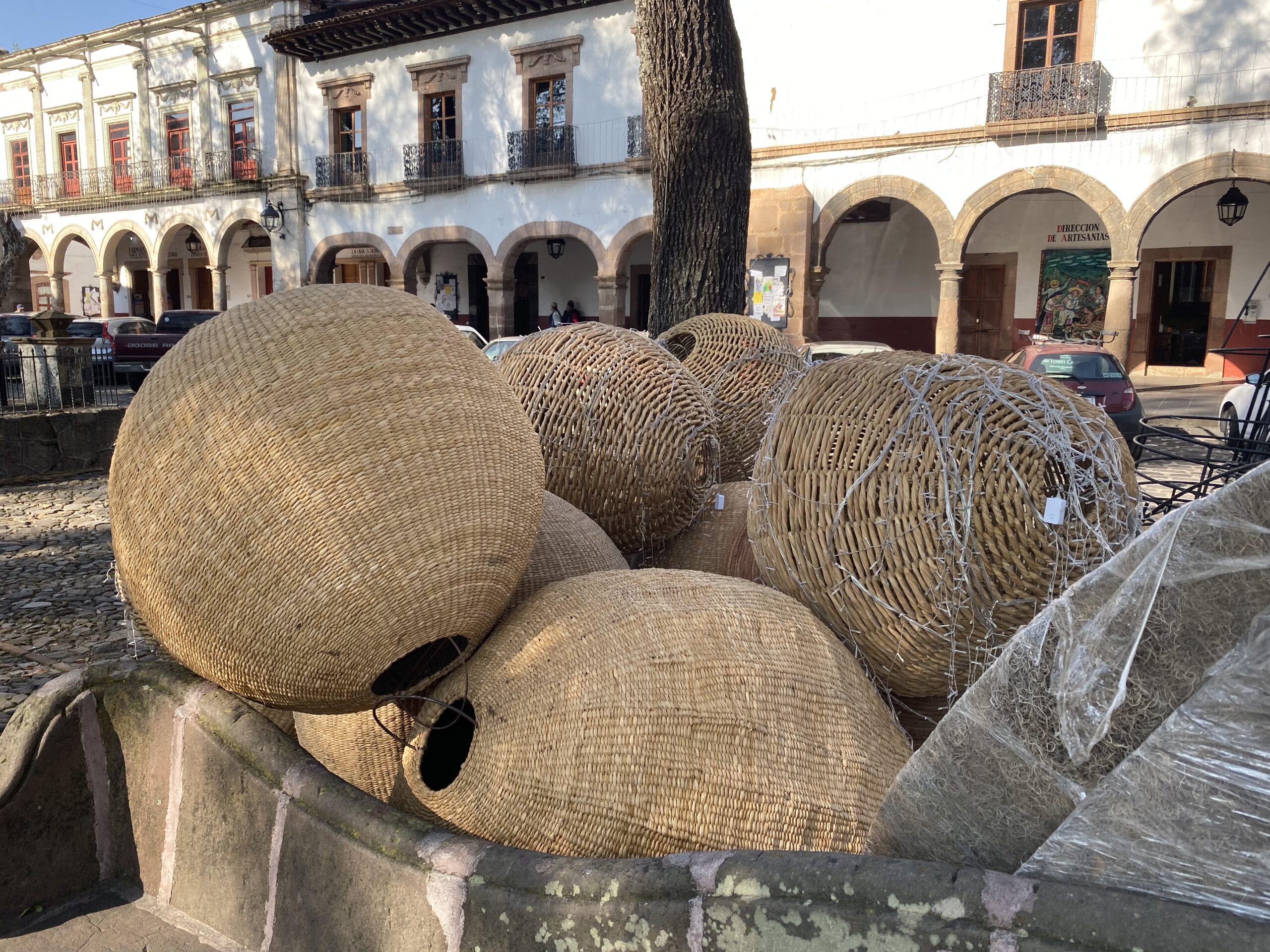 Comienza instalación del Pino y Nacimiento Monumental en Pátzcuaro