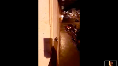 VIDEO: Tragedia en Pátzcuaro tras pelea en un bar