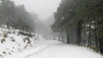 zitácuaro nieve Michoacán