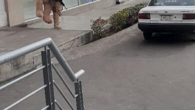 Camina por calles de Morelia con oso de peluche gigante y un arma