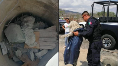 Policías rescatan a perro atrapado en una alcantarilla en Michoacán