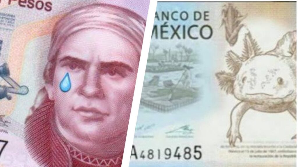 El Banco de México ha decidido decirle adiós a José María Morelos y Pavón para darle la bienvenida al emblemátivo Ajolote en los billetes de 50 pesos.