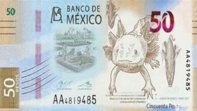 Nuevo billete de 50 pesos; tendrá un ajolote