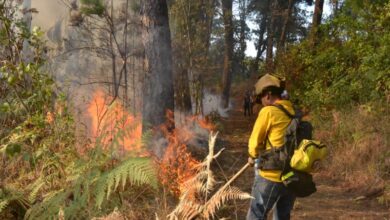 Incendian el Parque Nacional Barranca del Cupatitzio de Uruapan