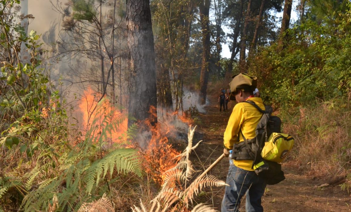 Incendian el Parque Nacional Barranca del Cupatitzio de Uruapan
