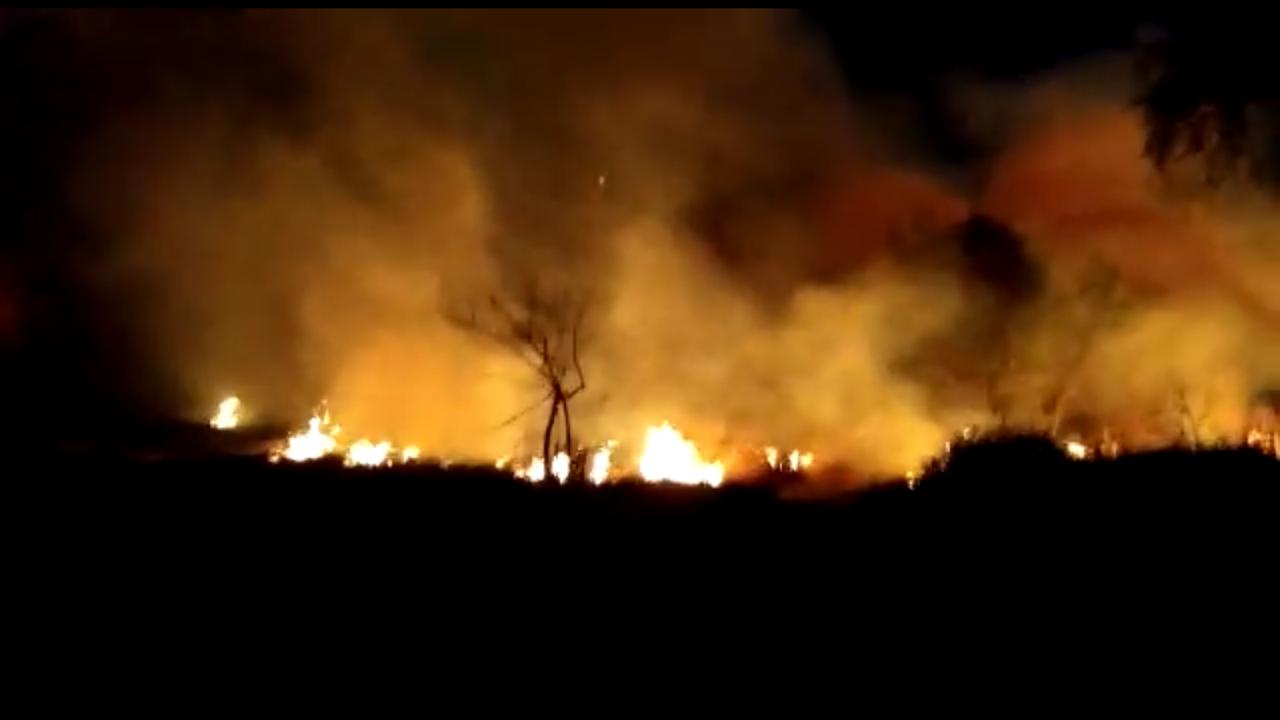 Incendio Manantial de la Mintzita, Área Natural Protegida de Morelia