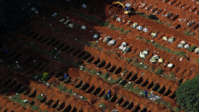 Cementerio de Sao Paulo alcanza un récord de fosas por coronavirus [FOTOS]