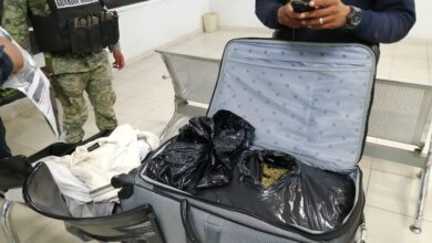 Dejan maleta con 8.3 kilos de marihuana en Apatzingán