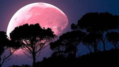 Hoy habrá Superluna rosa [abril 2020]