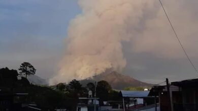 Incendio devasta bosque de Tacámbaro [FOTOS]