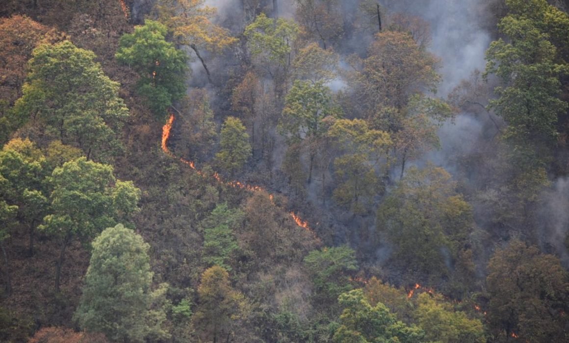 Incendio forestal en Tacámbaro fue provocado