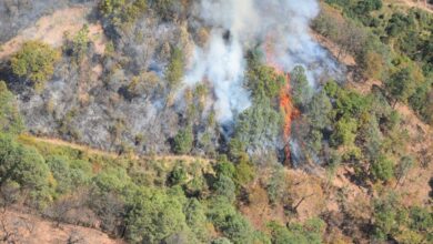 Incendio forestal en Tacámbaro fue provocado