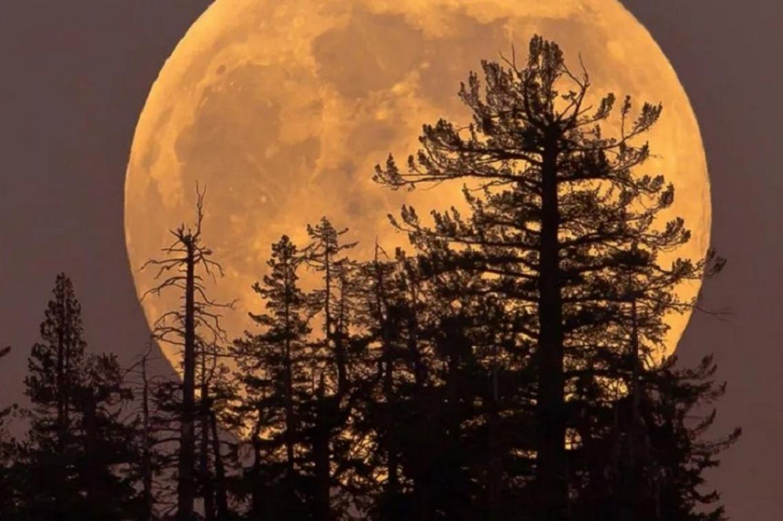 FOTOS: Así se vio la última superluna del año 2020