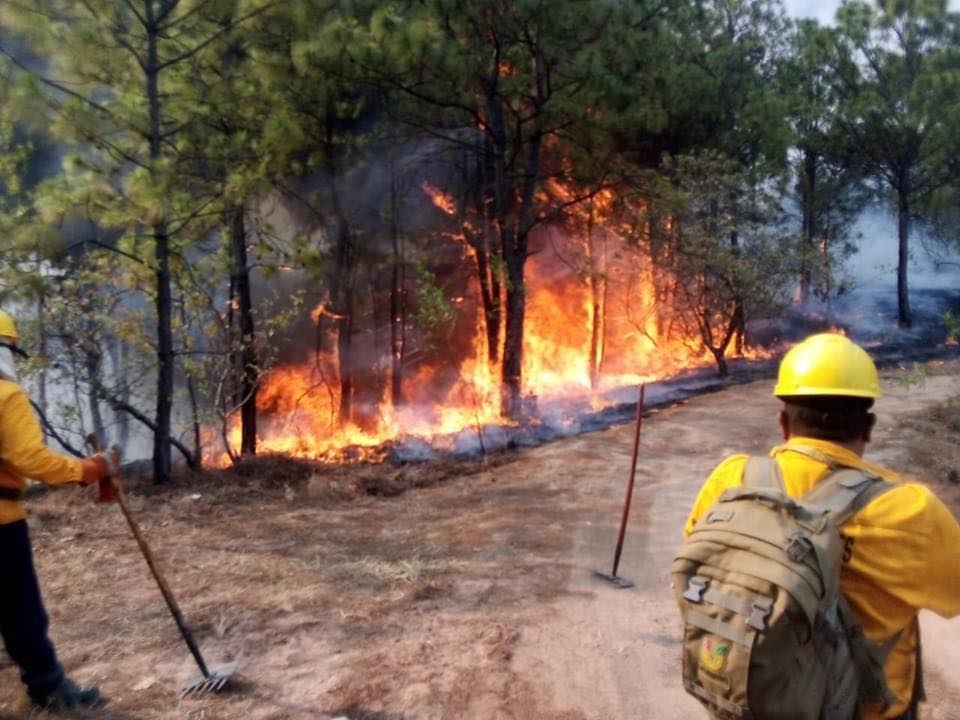 Uruapan bajo nube de humo por incendio forestal