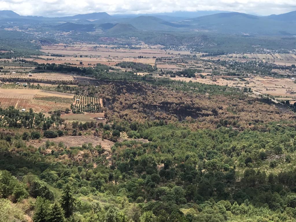 Incendio en el Estribo Grande de Pátzcuaro no afectó huertas aledañas