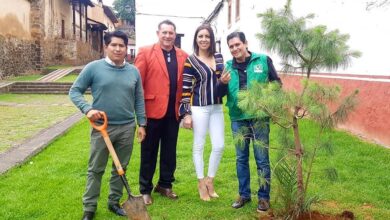 Partido Verde de Pátzcuaro hace el ridículo; indebidamente plantan árbol en la Casa de los Once Patios
