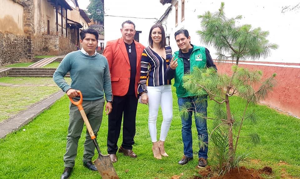 Partido Verde de Pátzcuaro hace el ridículo; indebidamente plantan árbol en la Casa de los Once Patios