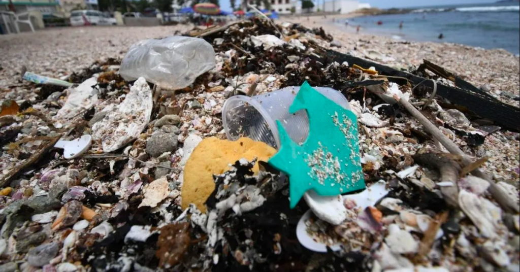 Playas de Mazatlan: 19 toneladas de basura en el primer día de reapertura