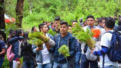 Se sembrarán 60 mil árboles en reforestación de Pátzcuaro: Víctor Báez Ceja