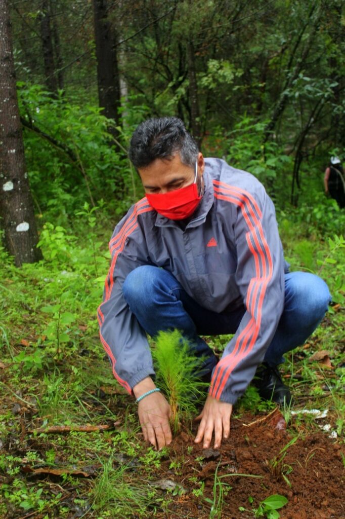 Víctor Báez da inicio a las jornadas de reforestación 2020 en Pátzcuaro