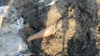 Hallan cuerpo semienterrado en la Pátzcuaro-Uruapan
