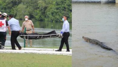 VIDEO: Cocodrilo mata a sujeto en la Laguna del Carpintero de Tampico, Tamaulipas