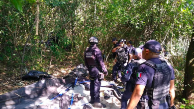 Encuentran en Salvador Escalante campamento relacionado en acciones ilícitas