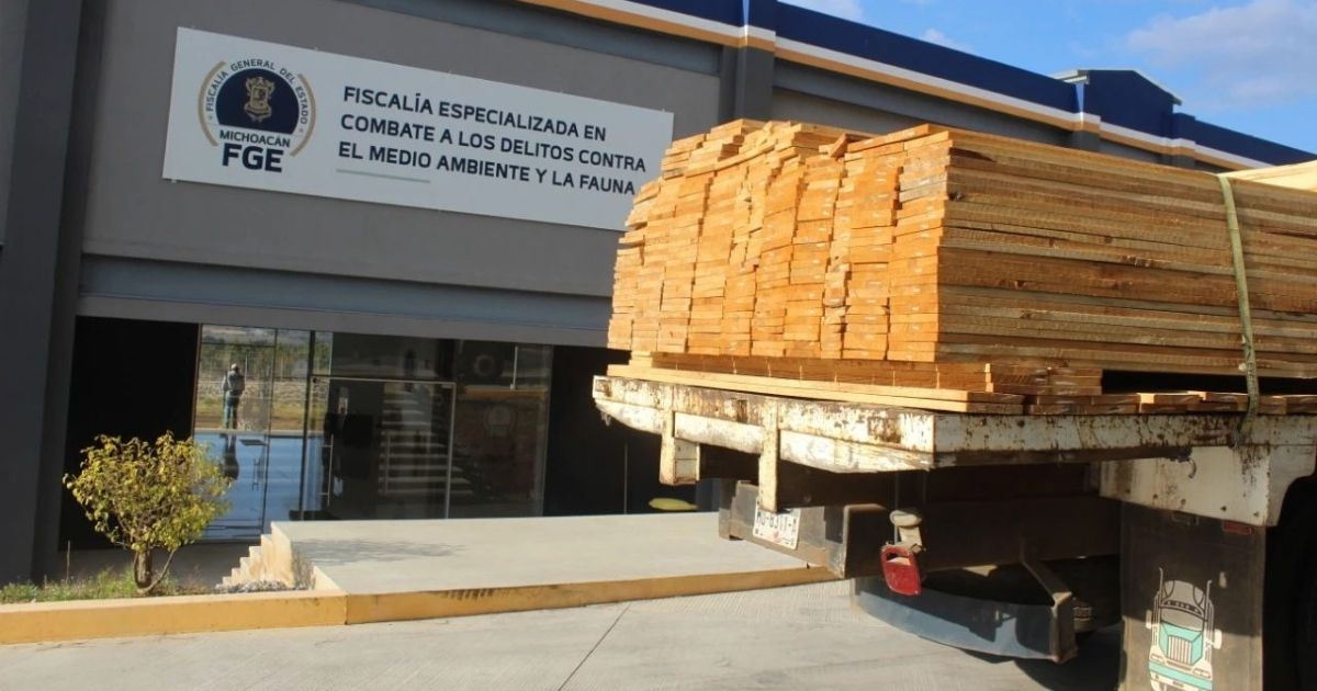 Detienen a sujeto en Cuanajo, comunidad de Pátzcuaro, con documentación forestal ilegal