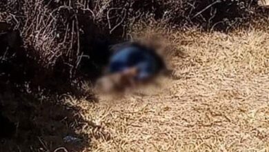 Joven es hallada muerta en Tzintzuntzan; presenta signos de violencia